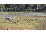 1 ETAPA ESTAD. MTB 2013 (167)