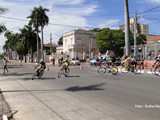 DSC07890