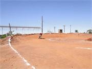 DSC09184