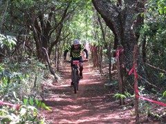 4 COPA PEDIVELA DE OURO (114)