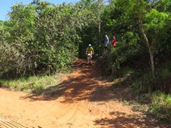 4 COPA PEDIVELA DE OURO (136)