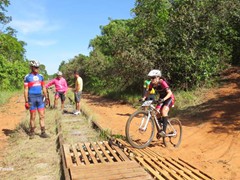 4 COPA PEDIVELA DE OURO (141)
