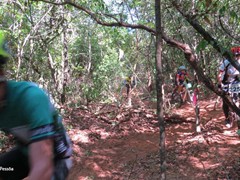 4 COPA PEDIVELA DE OURO (166)