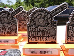 4 COPA PEDIVELA DE OURO (96)
