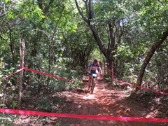 4 COPA PEDIVELA DE OURO (225)