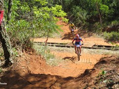 4 COPA PEDIVELA DE OURO (249)