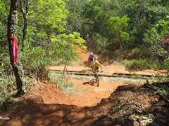 4 COPA PEDIVELA DE OURO (260)