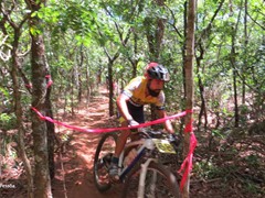 4 COPA PEDIVELA DE OURO (278)