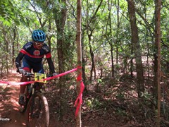 4 COPA PEDIVELA DE OURO (279)