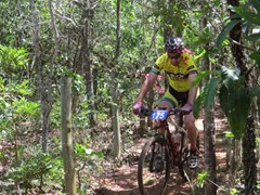 4 COPA PEDIVELA DE OURO (287)