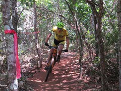 4 COPA PEDIVELA DE OURO (288)