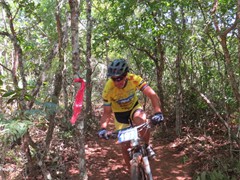 4 COPA PEDIVELA DE OURO (290)