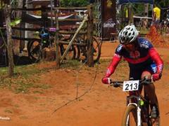 4 COPA PEDIVELA DE OURO (385)