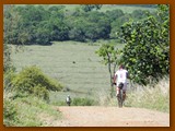 DSC01193