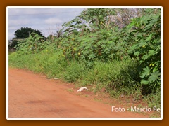 1 DESAFIO DAS AREIAS (40)