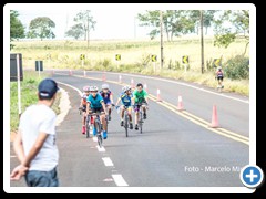 ESTADUAL C.R.I 2016 (1)