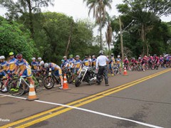 C.R.E 2016 (29)