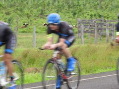 C.R.E 2016 (55)