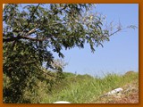 GP DOURADOS DE MTB 2014 (74)