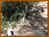 GP DOURADOS DE MTB 2014 (132)