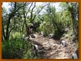 GP DOURADOS DE MTB 2014 (168)