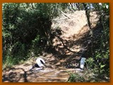 GP DOURADOS DE MTB 2014 (190)