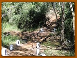 GP DOURADOS DE MTB 2014 (196)