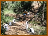 GP DOURADOS DE MTB 2014 (197)