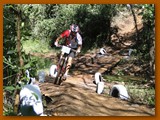 GP DOURADOS DE MTB 2014 (209)