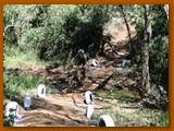 GP DOURADOS DE MTB 2014 (212)