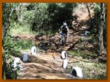 GP DOURADOS DE MTB 2014 (226)