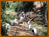 GP DOURADOS DE MTB 2014 (227)