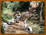 GP DOURADOS DE MTB 2014 (233)