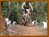 GP DOURADOS DE MTB 2014 (267)