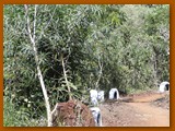 GP DOURADOS DE MTB 2014 (282)