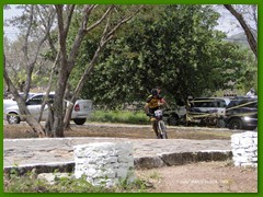 DSC03389
