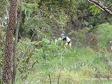 DSC06274
