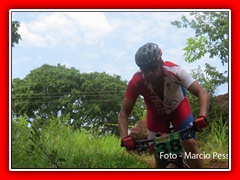 PEDIVELA DE OURO 2015 (350)