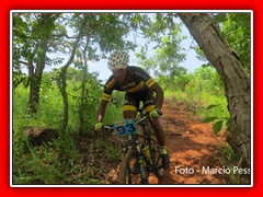 PEDIVELA DE OURO 2015 (360)