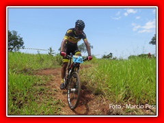 PEDIVELA DE OURO 2015 (366)