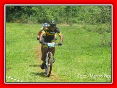PEDIVELA DE OURO 2015 (379)