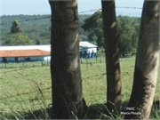 CIMG1351